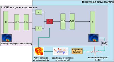 Fast Posterior Estimation of Cardiac Electrophysiological Model Parameters via Bayesian Active Learning